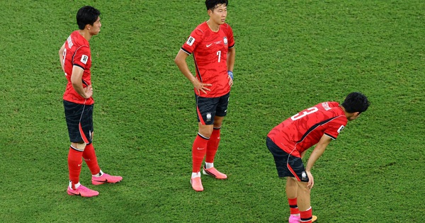 ABC8 cược bóng đá – Cập nhật nhanh sau thất bại lịch sử của Hàn Quốc tại World Cup - hình ảnh - abc8tiger.vip ABC8 cược bóng đá – Cập nhật nhanh sau thất bại lịch sử của Hàn Quốc tại World Cup - hình ảnh - abc8tiger.vip