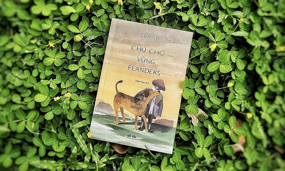 ABC8 chính thức đồng hành cùng tinh thần vượt nghịch cảnh trong ‘Chú chó vùng Flanders’ - hình ảnh - abc8tiger.vip