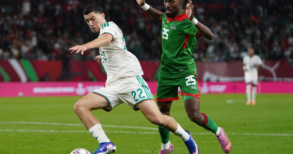 ABC8 cược bóng đá: Ibrahim Maza – Ngôi sao gốc Việt có thể cập bến Premier League sau World Cup 2026 - hình ảnh - abc8tiger.vip