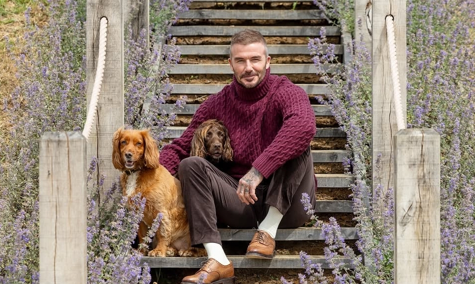 Phong cách mặc giàu ngầm của David Beckham và thông điệp thời thượng cho giới trẻ Việt - hình ảnh - abc8tiger.vip Phong cách mặc giàu ngầm của David Beckham và thông điệp thời thượng cho giới trẻ Việt - hình ảnh - abc8tiger.vip