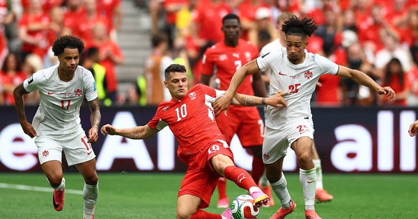 ABC8 cược bóng đá: Thụy Sĩ vs Algeria – Cơ hội vàng cho ‘cáo sa mạc’ hay bẫy rập ở vòng knock-out? - hình ảnh - abc8tiger.vip